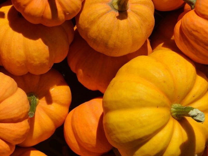 What Chinese love to eat in autumn