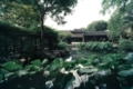 Lingering Garden 01
