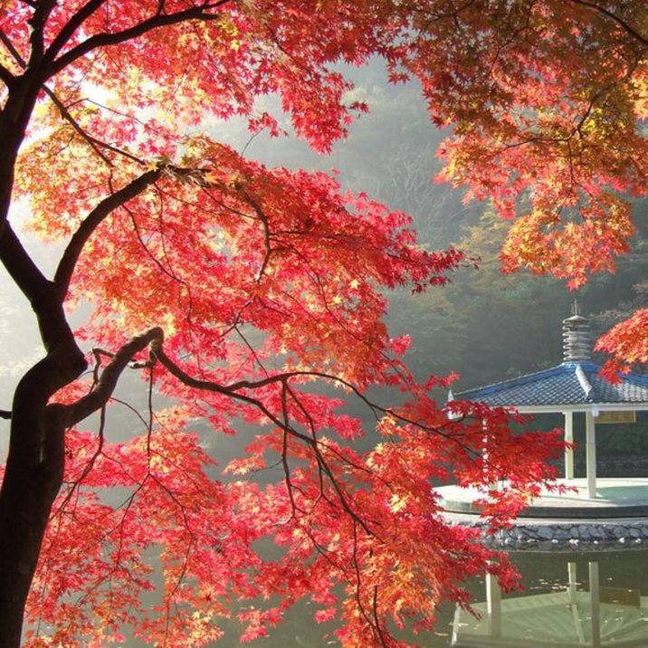 Hongfeng Lake- Guiyang