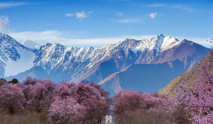 Tibet Nature Kingdom Tour