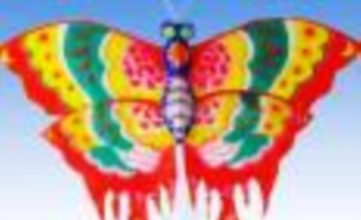 Weifang International Kite Festival 2011, Shandong Province, China