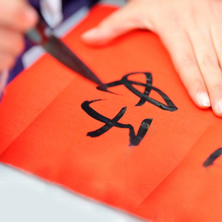 Chinese Cultural Immersion