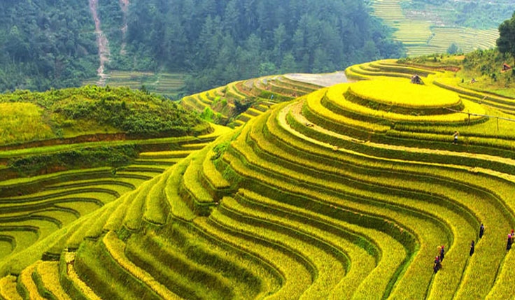 Kaili, Sanjiang & Longsheng Folk Custom Tour