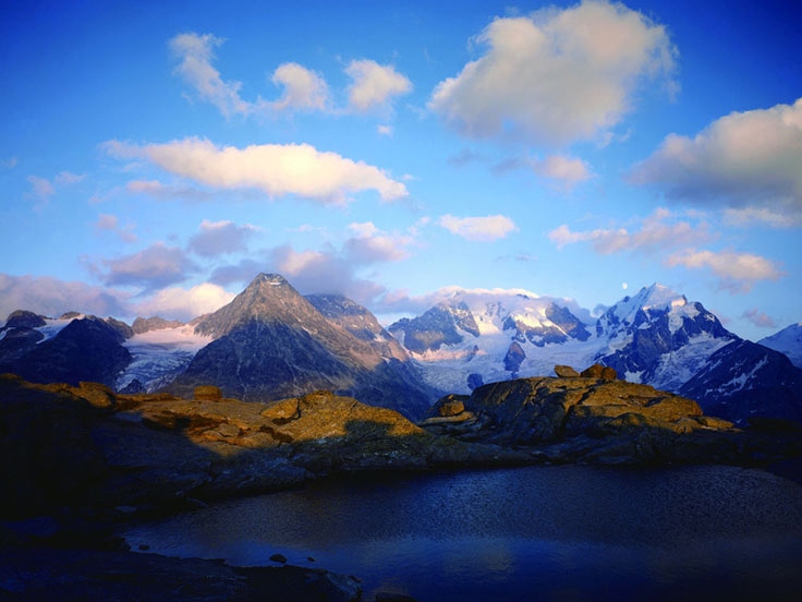 Yunnan Snub-nosed Monkey