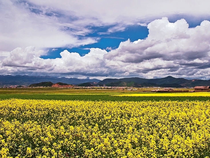 Deqin Meili Snow Mountain