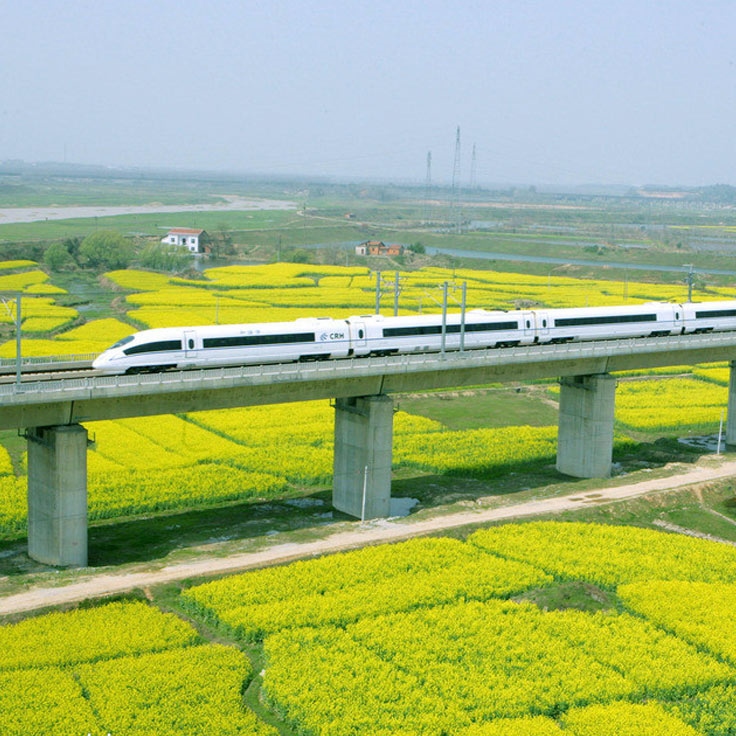 Bullet Train Tours