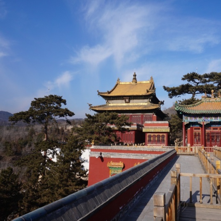 Putuo Zongcheng Temple