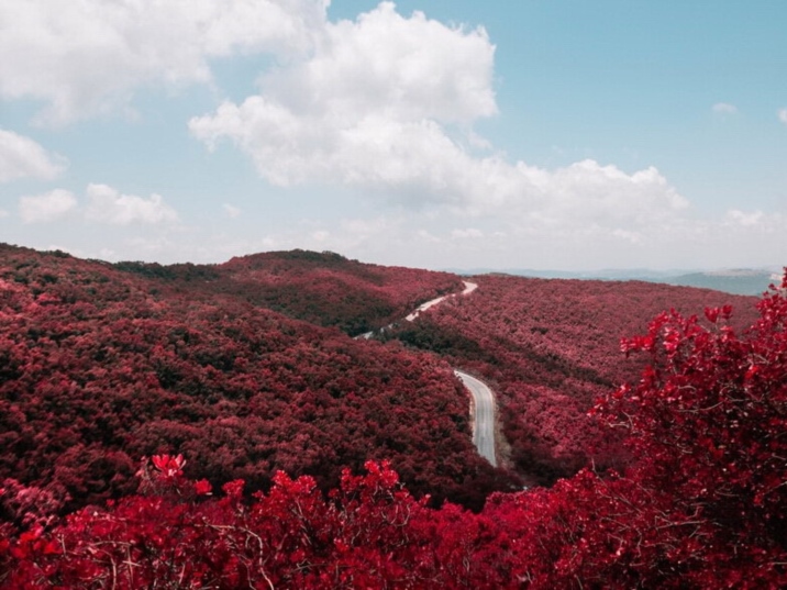 Features and traditions about Autumn Equinox